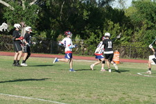 Enlarge photo 242
