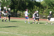 Enlarge photo 243