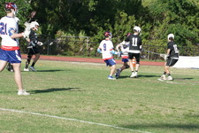 Enlarge photo 244