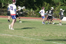 Enlarge photo 246