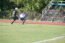 Enlarge photo 258