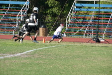 Enlarge photo 261