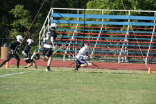 Enlarge photo 262