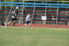 Enlarge photo 264