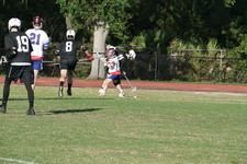 Enlarge photo 273