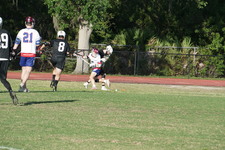 Enlarge photo 274