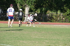 Enlarge photo 275