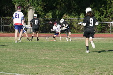 Enlarge photo 278