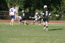 Enlarge photo 279
