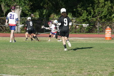 Enlarge photo 281