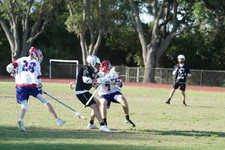 Enlarge photo 311