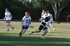 Enlarge photo 316
