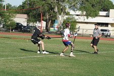 Enlarge photo 327
