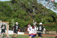 Enlarge photo 333