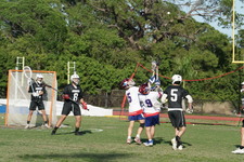 Enlarge photo 335