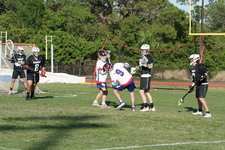 Enlarge photo 338