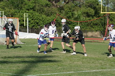 Enlarge photo 341