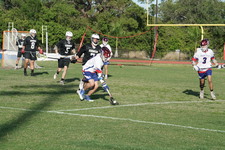 Enlarge photo 342
