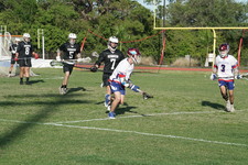 Enlarge photo 343
