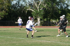 Enlarge photo 348