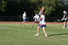 Enlarge photo 377