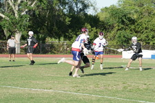 Enlarge photo 383