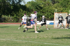 Enlarge photo 384