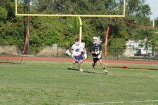Enlarge photo 398