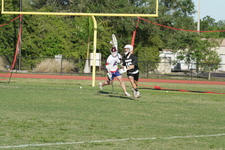 Enlarge photo 399