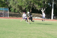 Enlarge photo 401