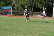 Enlarge photo 402
