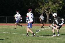 Enlarge photo 428
