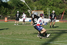 Enlarge photo 432