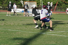 Enlarge photo 431