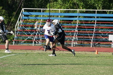 Enlarge photo 447