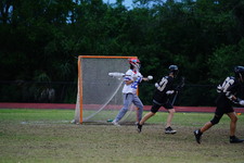 Enlarge photo 42
