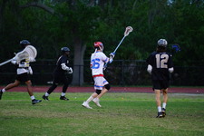 Enlarge photo 46