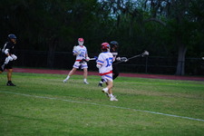 Enlarge photo 104
