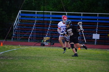Enlarge photo 110