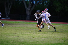 Enlarge photo 114