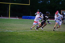 Enlarge photo 133