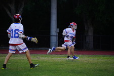 Enlarge photo 145