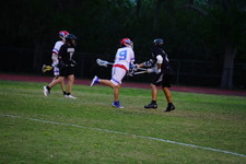 Enlarge photo 184