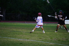 Enlarge photo 207