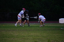 Enlarge photo 227