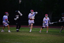 Enlarge photo 233