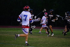 Enlarge photo 238
