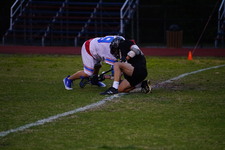 Enlarge photo 246