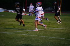 Enlarge photo 343