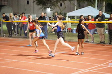 Enlarge photo 263